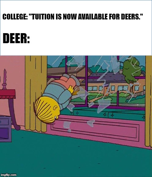 COLLEGE: "TUITION IS NOW AVAILABLE FOR DEERS."; DEER: | image tagged in deer | made w/ Imgflip meme maker