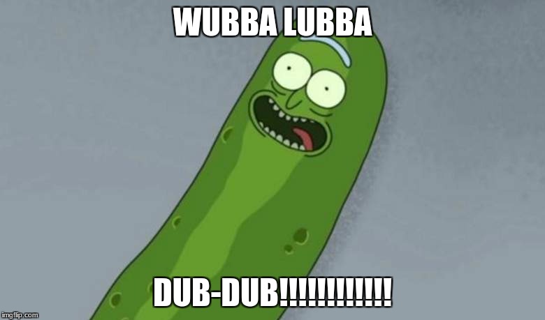 Pickle rick | WUBBA LUBBA; DUB-DUB!!!!!!!!!!!! | image tagged in pickle rick | made w/ Imgflip meme maker