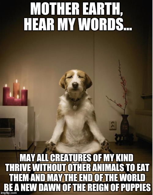 dog meditation funny | MOTHER EARTH, HEAR MY WORDS... MAY ALL CREATURES OF MY KIND THRIVE WITHOUT OTHER ANIMALS TO EAT THEM AND MAY THE END OF THE WORLD BE A NEW DAWN OF THE REIGN OF PUPPIES | image tagged in dog meditation funny | made w/ Imgflip meme maker