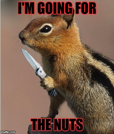 I'M GOING FOR THE NUTS | made w/ Imgflip meme maker