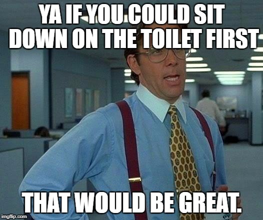That Would Be Great Meme | YA IF YOU COULD SIT DOWN ON THE TOILET FIRST THAT WOULD BE GREAT. | image tagged in memes,that would be great | made w/ Imgflip meme maker