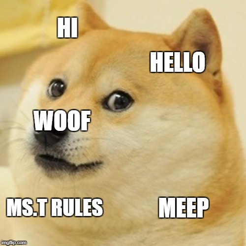 Doge | HI; HELLO; WOOF; MEEP; MS.T RULES | image tagged in memes,doge | made w/ Imgflip meme maker