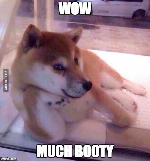 Flirting Doge | WOW; MUCH BOOTY | image tagged in flirting doge | made w/ Imgflip meme maker