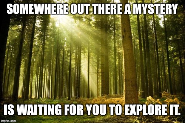 sunlit forest | SOMEWHERE OUT THERE A MYSTERY; IS WAITING FOR YOU TO EXPLORE IT. | image tagged in sunlit forest | made w/ Imgflip meme maker