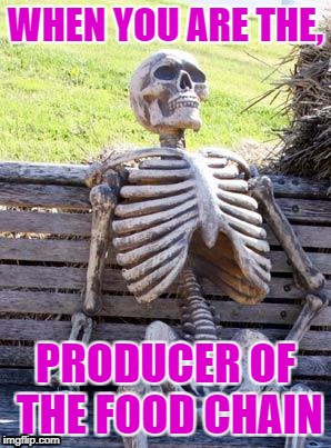 Waiting Skeleton Meme | WHEN YOU ARE THE, PRODUCER OF THE FOOD CHAIN | image tagged in memes,waiting skeleton | made w/ Imgflip meme maker