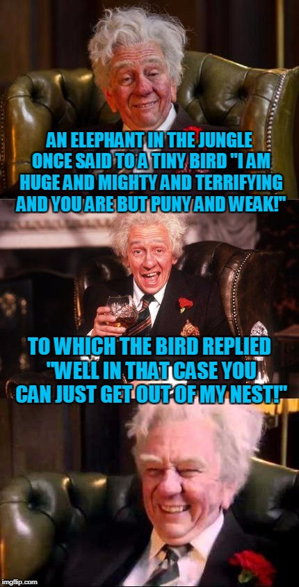 yeah it's stupid, but it's Rudyard Kipling stupid | AN ELEPHANT IN THE JUNGLE ONCE SAID TO A TINY BIRD "I AM HUGE AND MIGHTY AND TERRIFYING AND YOU ARE BUT PUNY AND WEAK!"; TO WHICH THE BIRD REPLIED "WELL IN THAT CASE YOU CAN JUST GET OUT OF MY NEST!" | image tagged in drinking englishman,memes,tall tale,elephant,bird,bad joke | made w/ Imgflip meme maker