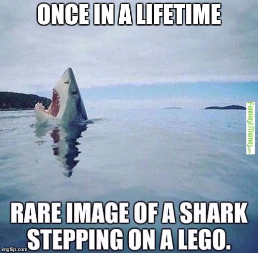 ONCE IN A LIFETIME | image tagged in shark,lego,image,teeth | made w/ Imgflip meme maker