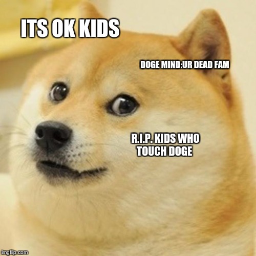 Doge Meme | ITS OK KIDS; DOGE MIND:UR DEAD FAM; R.I.P. KIDS WHO TOUCH DOGE | image tagged in memes,doge | made w/ Imgflip meme maker