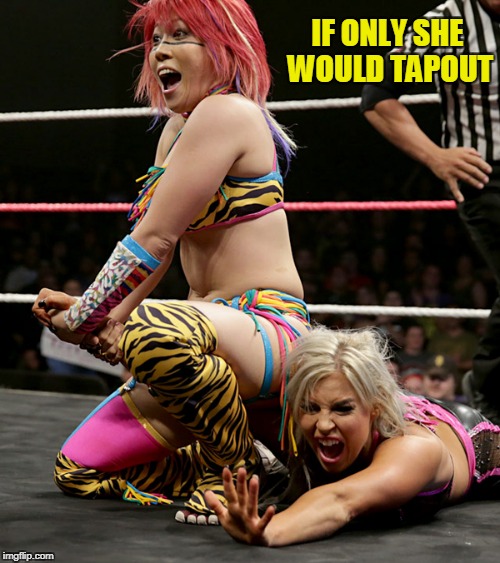 IF ONLY SHE WOULD TAPOUT | made w/ Imgflip meme maker