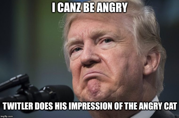 I CANZ BE ANGRY; TWITLER DOES HIS IMPRESSION OF THE ANGRY CAT | image tagged in angry twitler | made w/ Imgflip meme maker