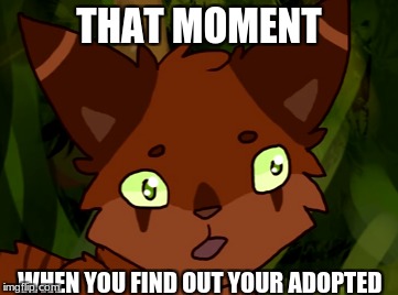 That Moment | THAT MOMENT; WHEN YOU FIND OUT YOUR ADOPTED | image tagged in adopted,too funny | made w/ Imgflip meme maker
