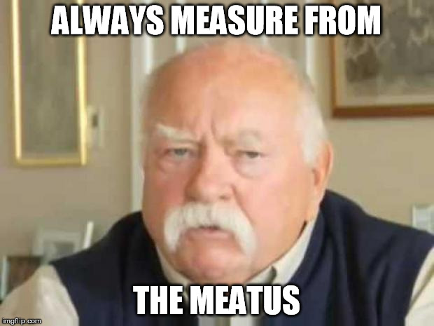 Wilford Brimley | ALWAYS MEASURE FROM; THE MEATUS | image tagged in wilford brimley | made w/ Imgflip meme maker