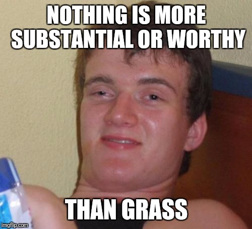 10 Guy Meme | NOTHING IS MORE SUBSTANTIAL OR WORTHY THAN GRASS | image tagged in memes,10 guy | made w/ Imgflip meme maker