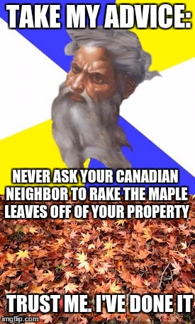 Random Meme Week November 8-14; created by Memaster | TAKE MY ADVICE:; NEVER ASK YOUR CANADIAN NEIGHBOR TO RAKE THE MAPLE LEAVES OFF OF YOUR PROPERTY; TRUST ME. I'VE DONE IT | image tagged in advice god,random meme week | made w/ Imgflip meme maker