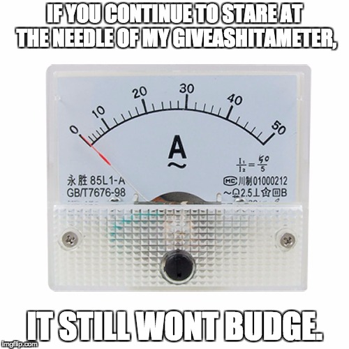 Give a... | IF YOU CONTINUE TO STARE AT THE NEEDLE
OF MY GIVEASHITAMETER, IT STILL WONT BUDGE. | image tagged in memes,care,givea | made w/ Imgflip meme maker