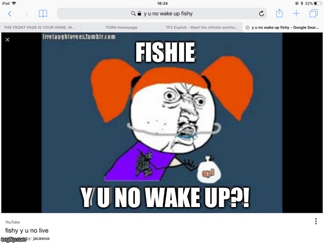  FISHIE; Y U NO WAKE UP?! | image tagged in finding nemo,y u no | made w/ Imgflip meme maker