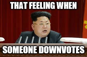 what? | THAT FEELING WHEN; SOMEONE DOWNVOTES | image tagged in what | made w/ Imgflip meme maker