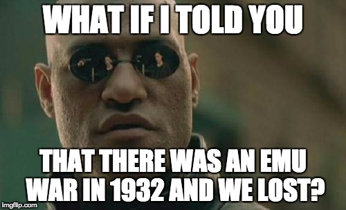 Matrix Morpheus | WHAT IF I TOLD YOU; THAT THERE WAS AN EMU WAR IN 1932 AND WE LOST? | image tagged in memes,matrix morpheus | made w/ Imgflip meme maker
