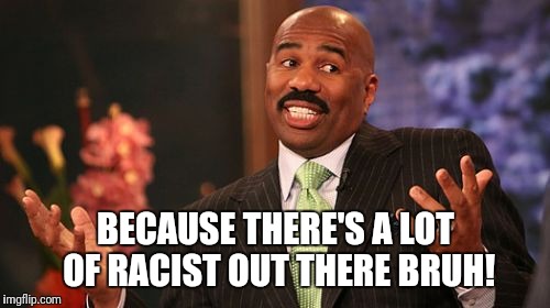 Steve Harvey Meme | BECAUSE THERE'S A LOT OF RACIST OUT THERE BRUH! | image tagged in memes,steve harvey | made w/ Imgflip meme maker