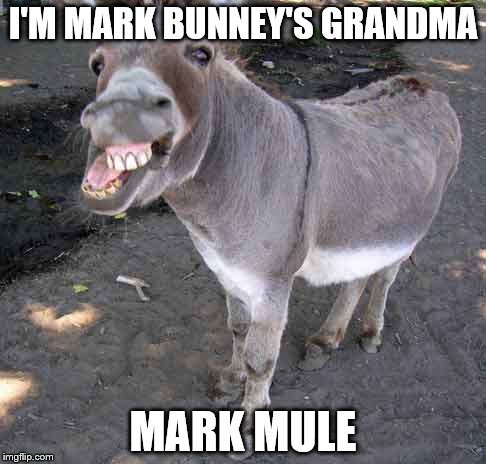 Drug Mule | I'M MARK BUNNEY'S GRANDMA; MARK MULE | image tagged in drug mule | made w/ Imgflip meme maker