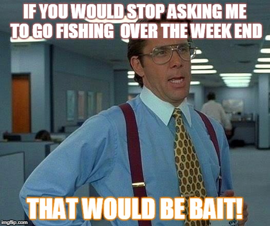 That Would Be Great Meme | IF YOU WOULD STOP ASKING ME TO GO FISHING  OVER THE WEEK END; THAT WOULD BE BAIT! | image tagged in memes,that would be great | made w/ Imgflip meme maker