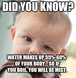 Skeptical Baby | DID YOU KNOW? WATER MAKES UP 55%-60% OF YOUR BODY... SO IF YOU BOIL, YOU WILL BE MIST. | image tagged in memes,skeptical baby | made w/ Imgflip meme maker