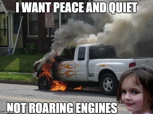 Bean's Memes | I WANT PEACE AND QUIET; NOT ROARING ENGINES | image tagged in disaster girl parking permit | made w/ Imgflip meme maker