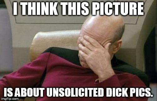 Captain Picard Facepalm Meme | I THINK THIS PICTURE IS ABOUT UNSOLICITED DICK PICS. | image tagged in memes,captain picard facepalm | made w/ Imgflip meme maker