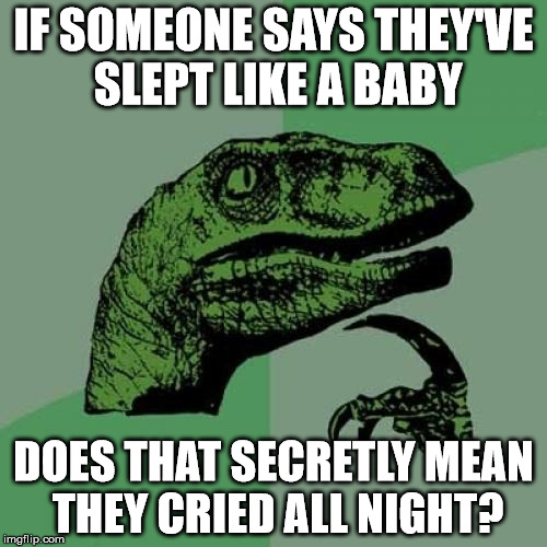 Philosoraptor Meme | IF SOMEONE SAYS THEY'VE SLEPT LIKE A BABY; DOES THAT SECRETLY MEAN THEY CRIED ALL NIGHT? | image tagged in memes,philosoraptor | made w/ Imgflip meme maker