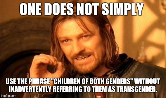 One does not always identify as a "child of both genders". | ONE DOES NOT SIMPLY; USE THE PHRASE "CHILDREN OF BOTH GENDERS" WITHOUT INADVERTENTLY REFERRING TO THEM AS TRANSGENDER. | image tagged in memes,one does not simply,gender,transgender,boys,girls | made w/ Imgflip meme maker