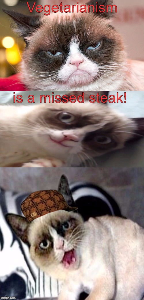 Bad Pun Grumpy Cat | Vegetarianism; is a missed steak! | image tagged in bad pun grumpy cat,scumbag,grumpy cat,memes | made w/ Imgflip meme maker