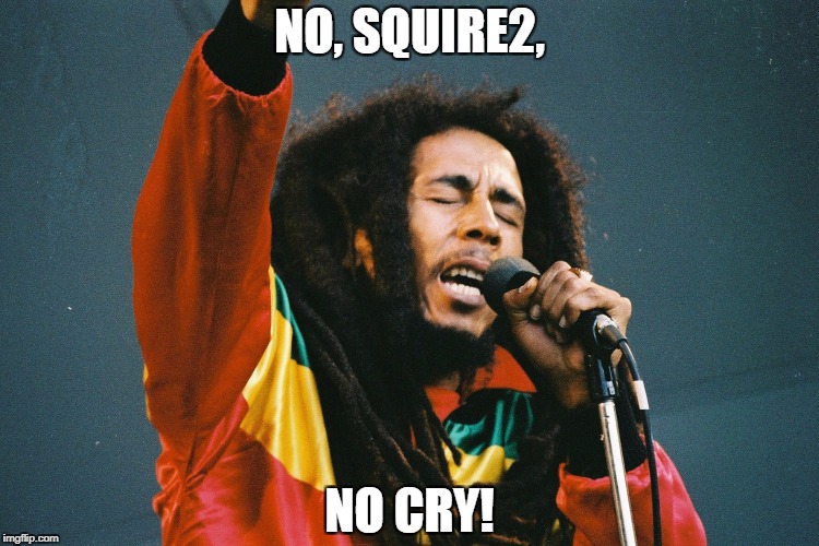 NO, SQUIRE2, NO CRY! | image tagged in bob marley | made w/ Imgflip meme maker