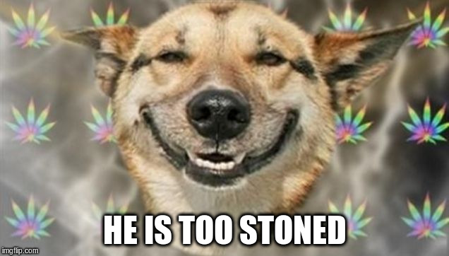 HE IS TOO STONED | made w/ Imgflip meme maker