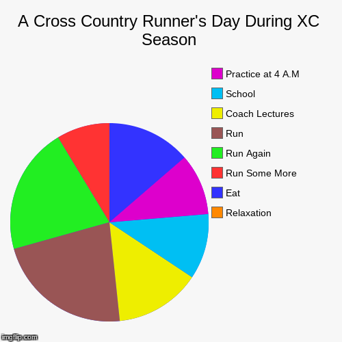 A Cross Country Runner's Day During XC Season | Relaxation , Eat, Run Some More, Run Again, Run, Coach Lectures, School, Practice at 4 A.M | image tagged in funny,pie charts | made w/ Imgflip chart maker