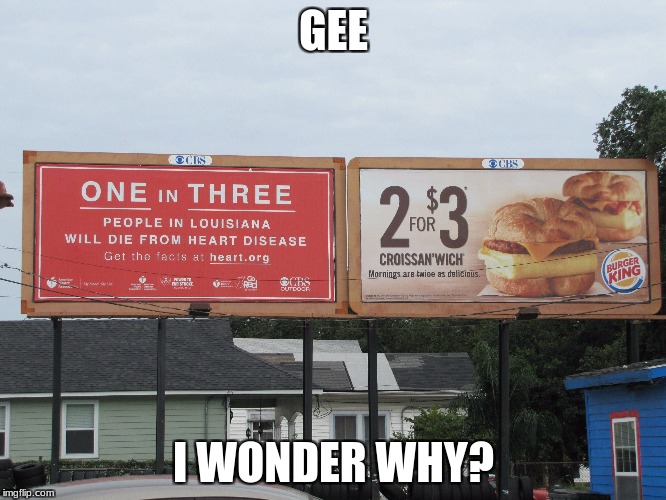  GEE; I WONDER WHY? | image tagged in irony | made w/ Imgflip meme maker