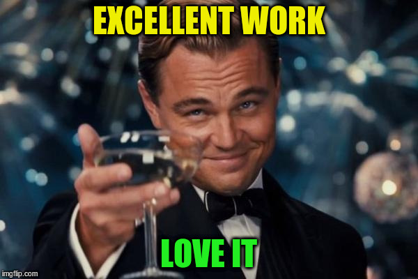 Leonardo Dicaprio Cheers Meme | EXCELLENT WORK LOVE IT | image tagged in memes,leonardo dicaprio cheers | made w/ Imgflip meme maker