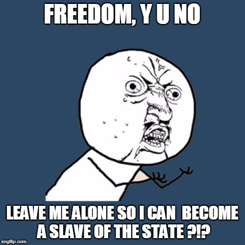 Y U No Meme | FREEDOM, Y U NO LEAVE ME ALONE SO I CAN  BECOME A SLAVE OF THE STATE ?!? | image tagged in memes,y u no | made w/ Imgflip meme maker