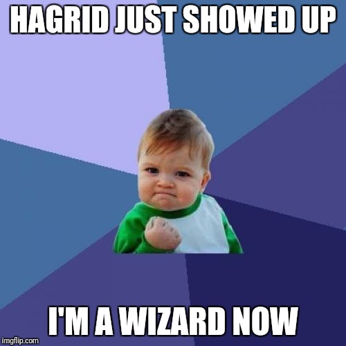 Success Kid | HAGRID JUST SHOWED UP; I'M A WIZARD NOW | image tagged in memes,success kid | made w/ Imgflip meme maker