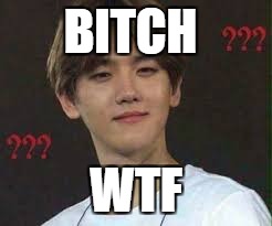 Kpop-Baekhyun | BITCH; WTF | image tagged in kpop-baekhyun | made w/ Imgflip meme maker