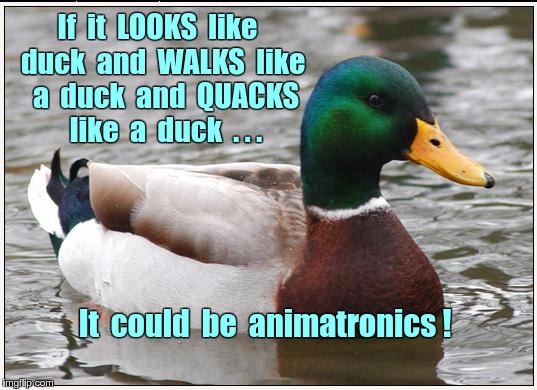 If it Looks like a Duck |  If  it  LOOKS  like  duck  and  WALKS  like   a  duck  and  QUACKS   like  a  duck  . . . It  could  be  animatronics ! | image tagged in memes,actual advice mallard,ducks | made w/ Imgflip meme maker
