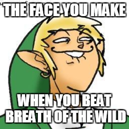 lol of zelda | THE FACE YOU MAKE; WHEN YOU BEAT BREATH OF THE WILD | image tagged in lol of zelda | made w/ Imgflip meme maker