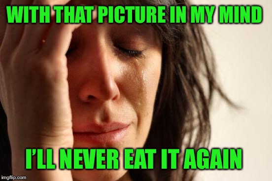 First World Problems Meme | WITH THAT PICTURE IN MY MIND I’LL NEVER EAT IT AGAIN | image tagged in memes,first world problems | made w/ Imgflip meme maker