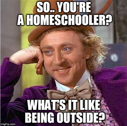 The truth of homeschooling | image tagged in homeschool | made w/ Imgflip meme maker