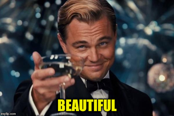 Leonardo Dicaprio Cheers Meme | BEAUTIFUL | image tagged in memes,leonardo dicaprio cheers | made w/ Imgflip meme maker