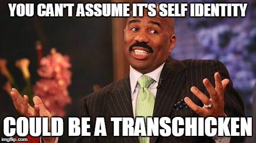 Steve Harvey Meme | YOU CAN'T ASSUME IT'S SELF IDENTITY COULD BE A TRANSCHICKEN | image tagged in memes,steve harvey | made w/ Imgflip meme maker