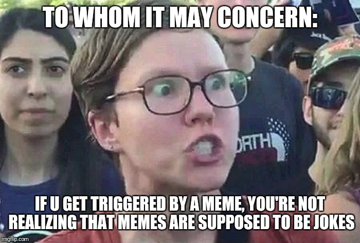 Triggered Liberal | TO WHOM IT MAY CONCERN:; IF U GET TRIGGERED BY A MEME, YOU'RE NOT REALIZING THAT MEMES ARE SUPPOSED TO BE JOKES | image tagged in triggered liberal | made w/ Imgflip meme maker