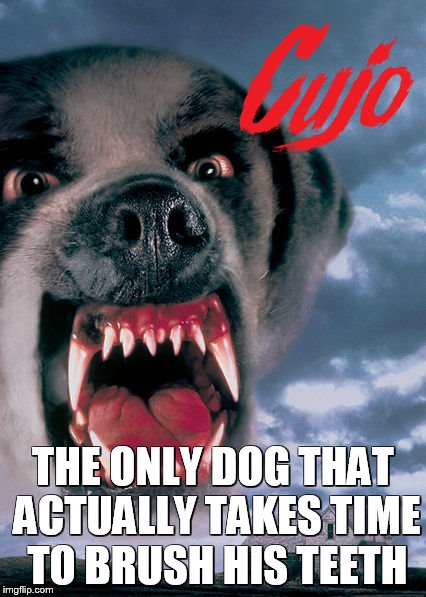 THE ONLY DOG THAT ACTUALLY TAKES TIME TO BRUSH HIS TEETH | image tagged in stephen king,dogs,evil,horror movie,books | made w/ Imgflip meme maker