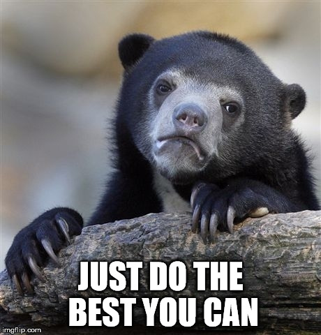 Confession Bear Meme | JUST DO THE BEST YOU CAN | image tagged in memes,confession bear | made w/ Imgflip meme maker