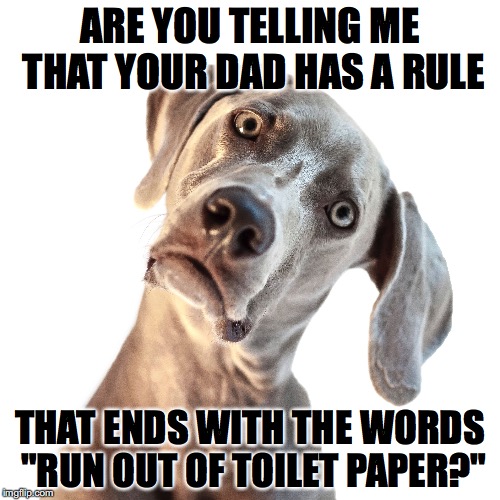 ARE YOU TELLING ME THAT YOUR DAD HAS A RULE; THAT ENDS WITH THE WORDS "RUN OUT OF TOILET PAPER?" | made w/ Imgflip meme maker