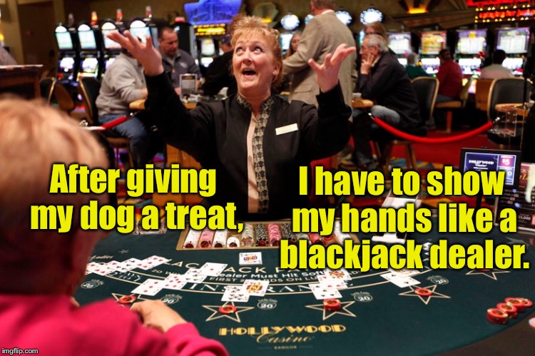 Canine treat verification rules | I have to show my hands like a blackjack dealer. After giving my dog a treat, | image tagged in memes,blackjack dealer,show hands,dog treat,canine rules | made w/ Imgflip meme maker